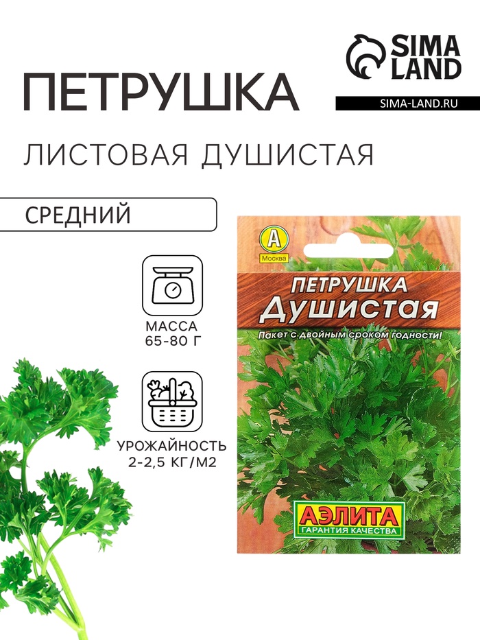 Семена Петрушка листовая «Душистая», 2 г, «Аэлита» - Фото 1