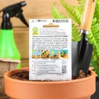 Семена Свекла "Цилиндра" одноростковая "Лидер", столовая, 2 г , - Фото 5