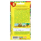 Семена Горох овощной, «Все фиолетово», 7 г, высокорослый, «Аэлита» - Фото 2