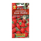 Семена Земляника «Али Баба», ремонтантная, 0.04 г, «Аэлита» - Фото 6
