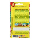 Семена Лук на зелень "Красный пучок", 0,3 г - Фото 2