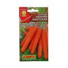 Семена Морковь "Ранняя Нантская", 2 г - Фото 1