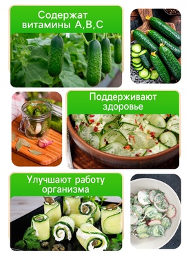 Семена огурца "Засолыч", F1, 10 шт. (комплект 2 шт)