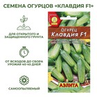Семена Огурец "Клавдия F1", раннеспелый, партенокарпический, 10 шт - фото 9035825
