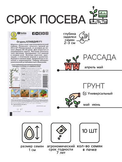 Семена Огурец «Клавдия», F1, партенокарпический, раннеспелый, 10 шт., «Агрофирма АЭЛИТА»
