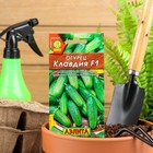 Семена Огурец «Клавдия», F1, партенокарпический, раннеспелый, 10 шт., «Агрофирма АЭЛИТА» - Фото 3