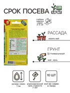 Семена Огурец «Подарки с грядки», F1, раннеспелый, партенокарпический, 10 шт., «АЭЛИТА» - Фото 2