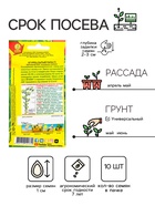 Семена Огурец "Сытый папа F1", 10 шт - Фото 2