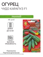 Семена Огурец «Чудо карапуз», F1, 10 шт., «АЭЛИТА» - Фото 1