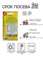 Семена Огурец «Чудо карапуз», F1, 10 шт., «АЭЛИТА» - Фото 2