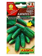 Семена Огурец "Чудо карапуз F1", 10 шт. - фото 808854700