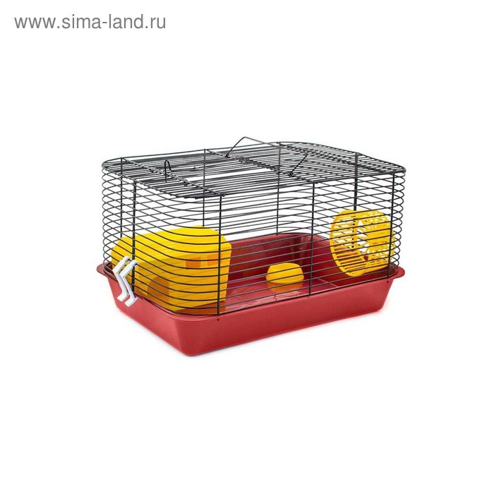 Клетка Дарэлл для мелких грызунов, цветная 38*26*22см - Фото 1