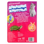 Книжка картонная «Домашние животные» 10 стр., МИКС - Фото 6