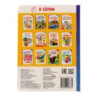 Книжка картонная «Животные зоопарка», 10 стр. - Фото 4