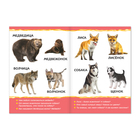 Книжка картонная «Где моя мама?»10 стр. - Фото 2