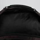 Рюкзак школьный, 2 отдела на молниях, наружный карман, цвет чёрный - Фото 6