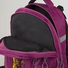 Рюкзак школьный, 2 отдела на молниях, 3 наружных кармана, цвет вишнёвый - Фото 5