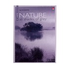Блокнот А5, 40 листов на скрепке "Природа", МИКС - Фото 2