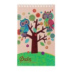 Блокнот А5, 40 листов на гребне "Совы", МИКС (комплект 2 шт) - фото 24227412