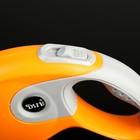Рулетка DIIL, 3 м, до 10 кг, лента, прорезиненная ручка, оранжевая с серым - Фото 3