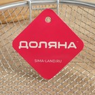 Фритюрница Доляна, d=22 см, со съёмной ручкой, серебристая - Фото 7