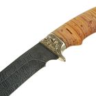 Нож нескладной "Галеон", дамасская сталь, береста, литье - Фото 3