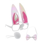 Карнавальный набор "Зайка" 3 предмета: очки, хвост, бабочка, цвета МИКС - Фото 1