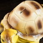Копилка "Черепаха Тортилла" 27см - Фото 4
