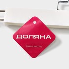 Вешалка для брюк и юбок Доляна, 31×16 см, с зажимами, белая - Фото 6