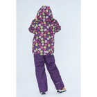 Комплект для девочки (куртка, полукомбинезон), рост 104 см, цвет фиолетовый S17344 - Фото 4