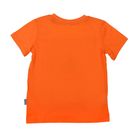 Футболка для мальчика, рост 110 см, цвет оранжевый CSK 61575 (147) - Фото 7