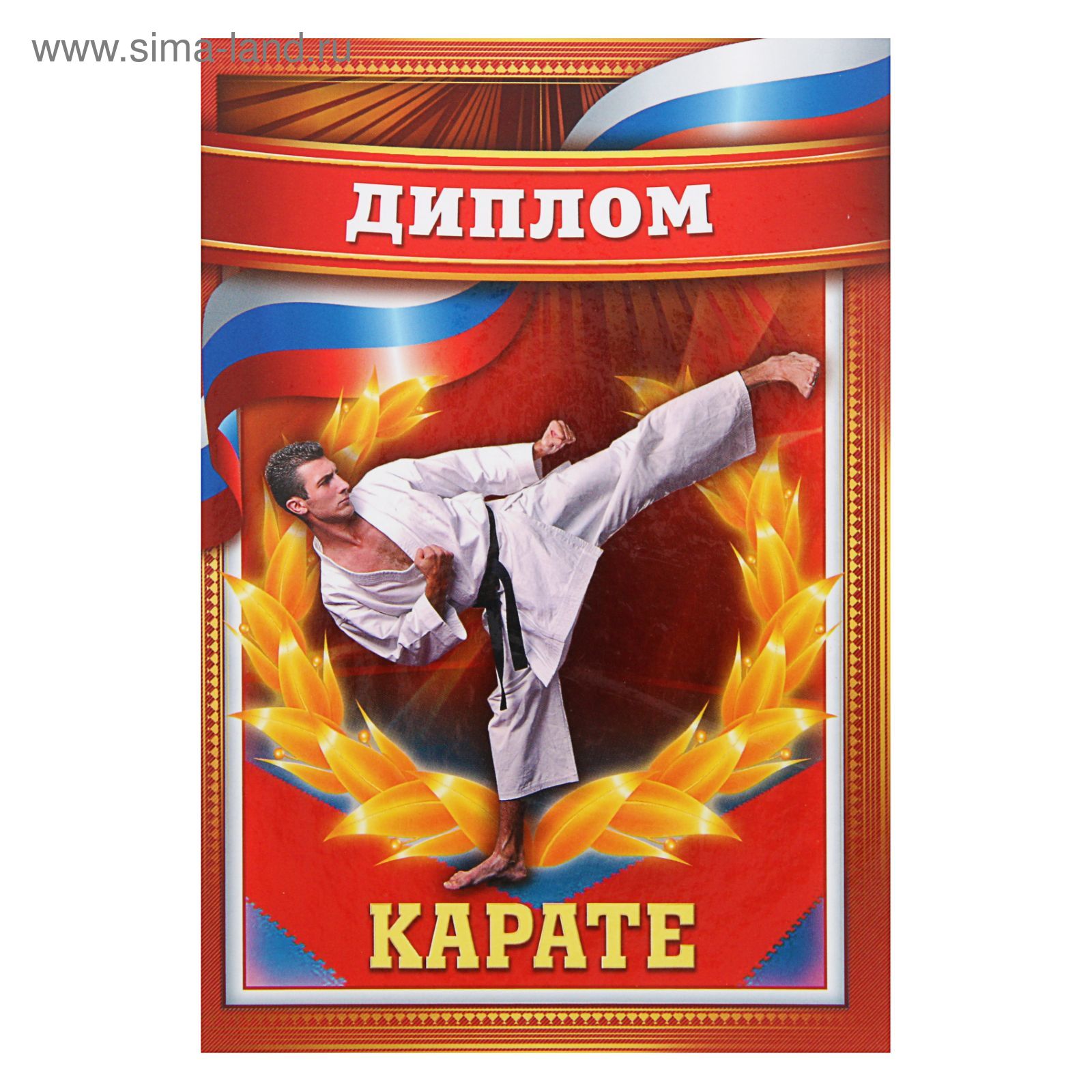 Грамота карате. Грамота каратэ. Спортивные дипломы каратэ