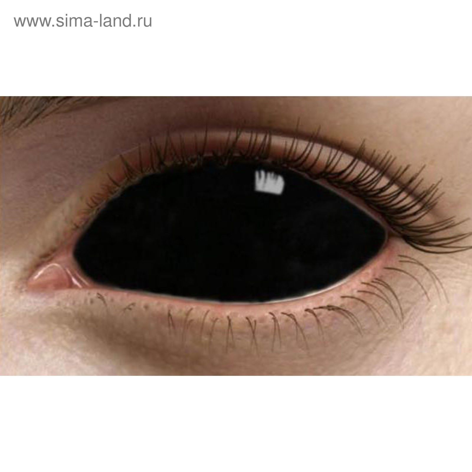 Где Можно Купить Черные Линзы