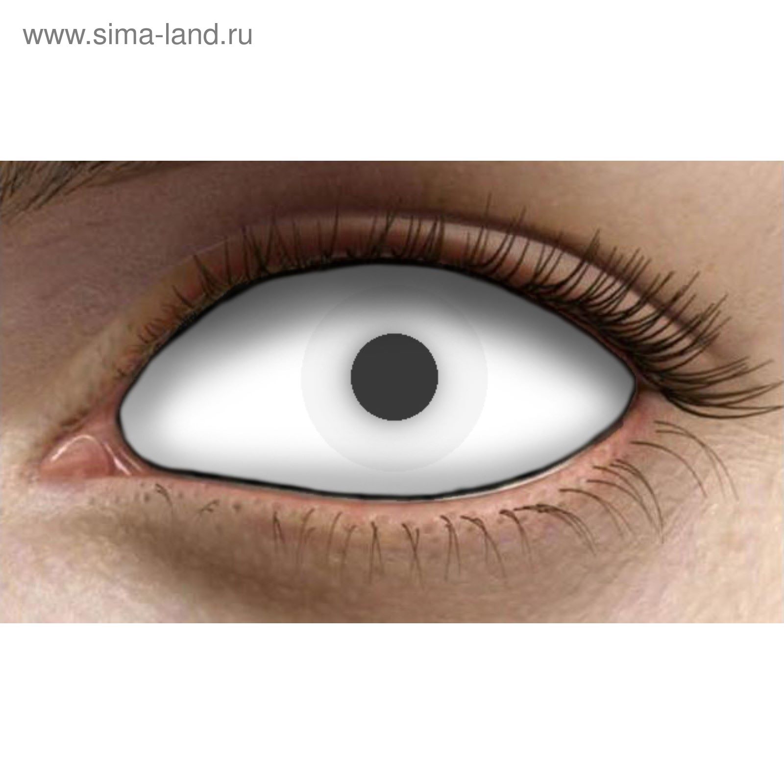 Где Можно Купить Черные Линзы