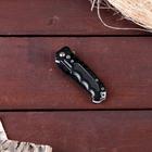 Нож складной «Окунь-5», 15 см, клинок 66 мм/1.4 мм - Фото 2