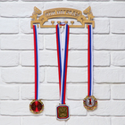 Медальница «Мои награды», золотой цвет, 29 см × 9,5 см - фото 3800453