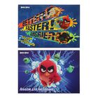 Альбом для рисования А4, 40 листов на клею Angry Birds Movie, двойной УФ-лак, блок 100г/м2, МИКС - Фото 1