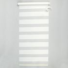 Штора-ролет «День и Ночь», размер 60х160 см, цвет белый - фото 297872132