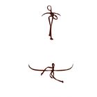 Купальник женский раздельный Monti&Farr MARGO цвет коричневый, р-р 46-48 (42) чашка C - Фото 6