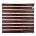 Штора-ролет «День и Ночь», размер 140×160 см, цвет шоколад - Фото 1