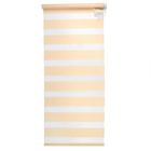 Штора-ролет «День и Ночь», размер 60×160 см, цвет персик - Фото 1