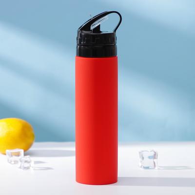 Бутылка для воды «Сайли», 450 мл (корпус из силикона), цвет МИКС