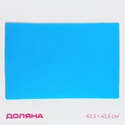 Коврик с разметкой Доляна «Буссен», силикон, 61,5×41,5 см, цвет МИКС - фото 25000187