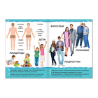 Книжка картонная «Человек», 10 стр. - Фото 2