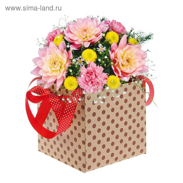 Коробка-ваза для цветов с пластиковой вставкой, 18 х 18 х 18 см, горох - Фото 1