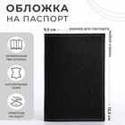 Обложка для паспорта, цвет чёрный - фото 10243093