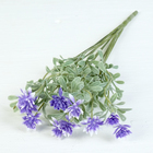 Букет "Астрации" 32 см, микс (10 цветков) с напылением - Фото 1