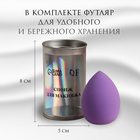Спонж для макияжа в футляре «Капля», 6 × 4 см, увеличивается при намокании, цвет МИКС - фото 9017616