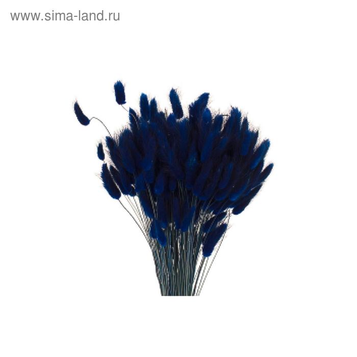 Трава сухоцвет, лагурус, синий 100 г - Фото 1
