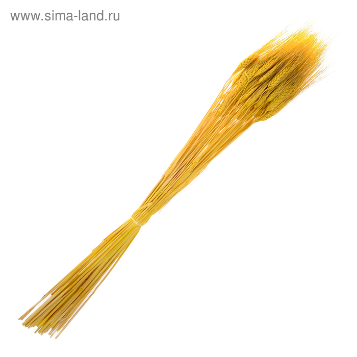 Трава сухоцвет, пшеница, жёлтая 100 г - Фото 1